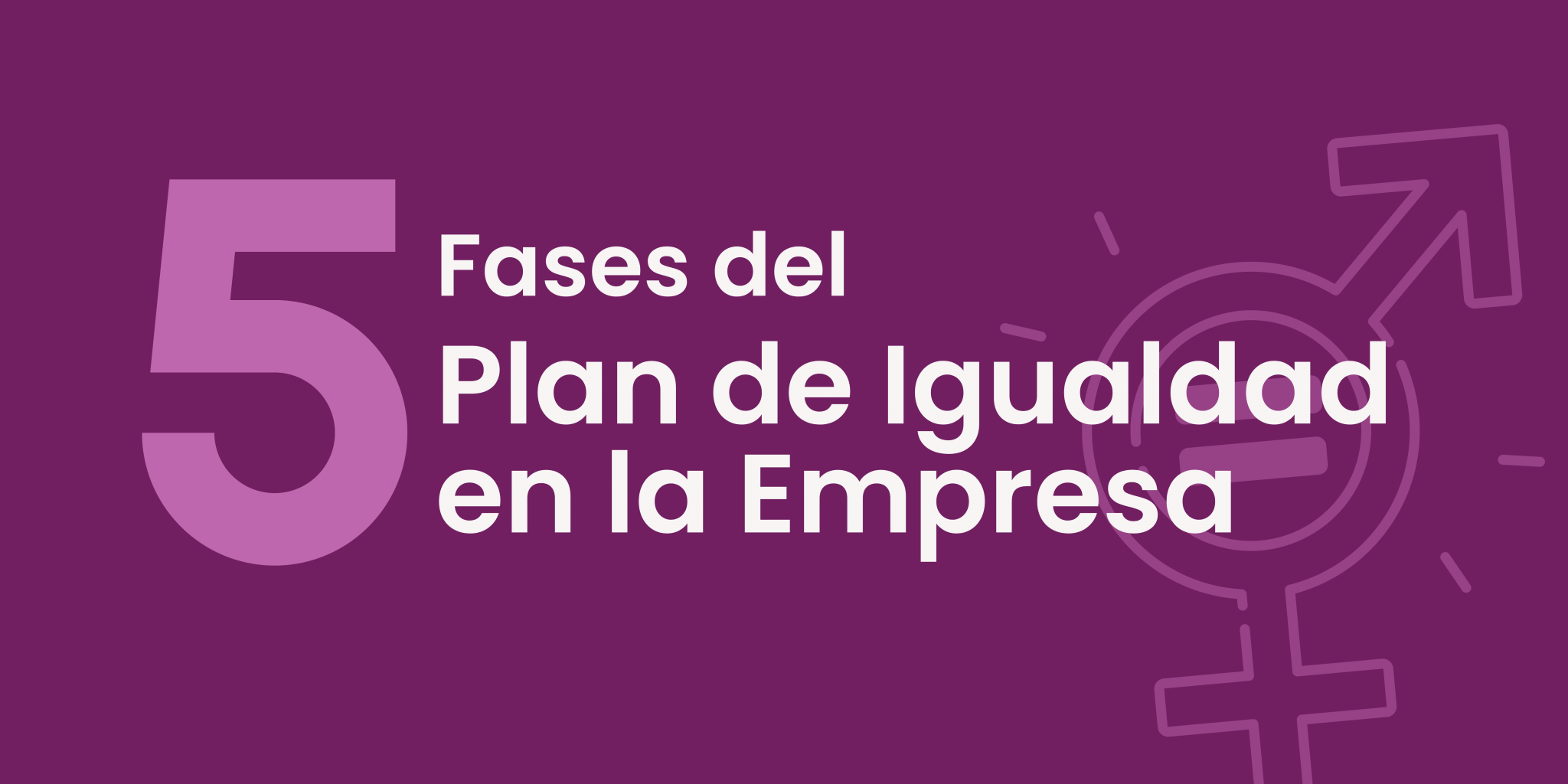 Las 5 Fases de un Plan de Igualdad en la Empresa - Gaya